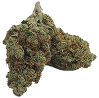 THC Purple Punch Flower