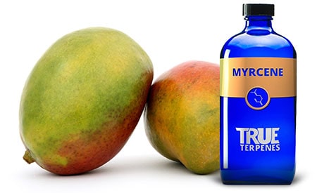 Learn about our Terpenes